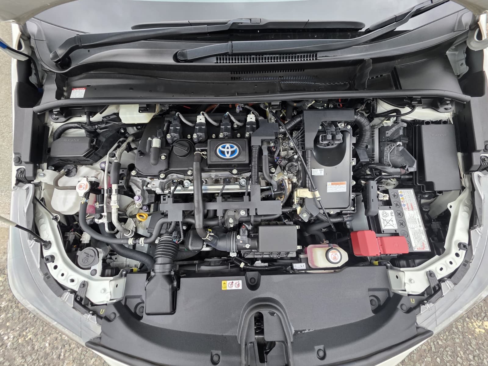 Toyota Corolla - Image 10